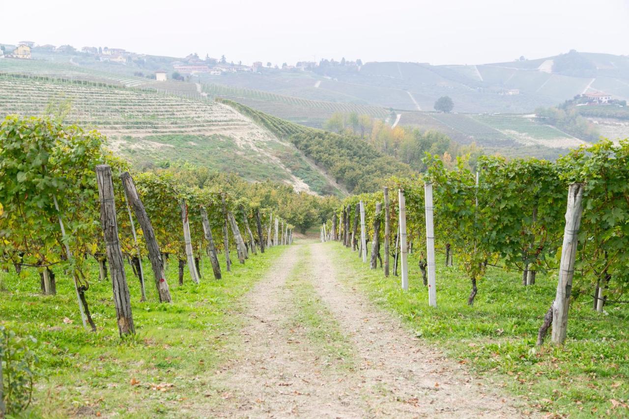 Ca Trifolera Barbaresco: Romantic Wine Estate in Langhe Exterior photo