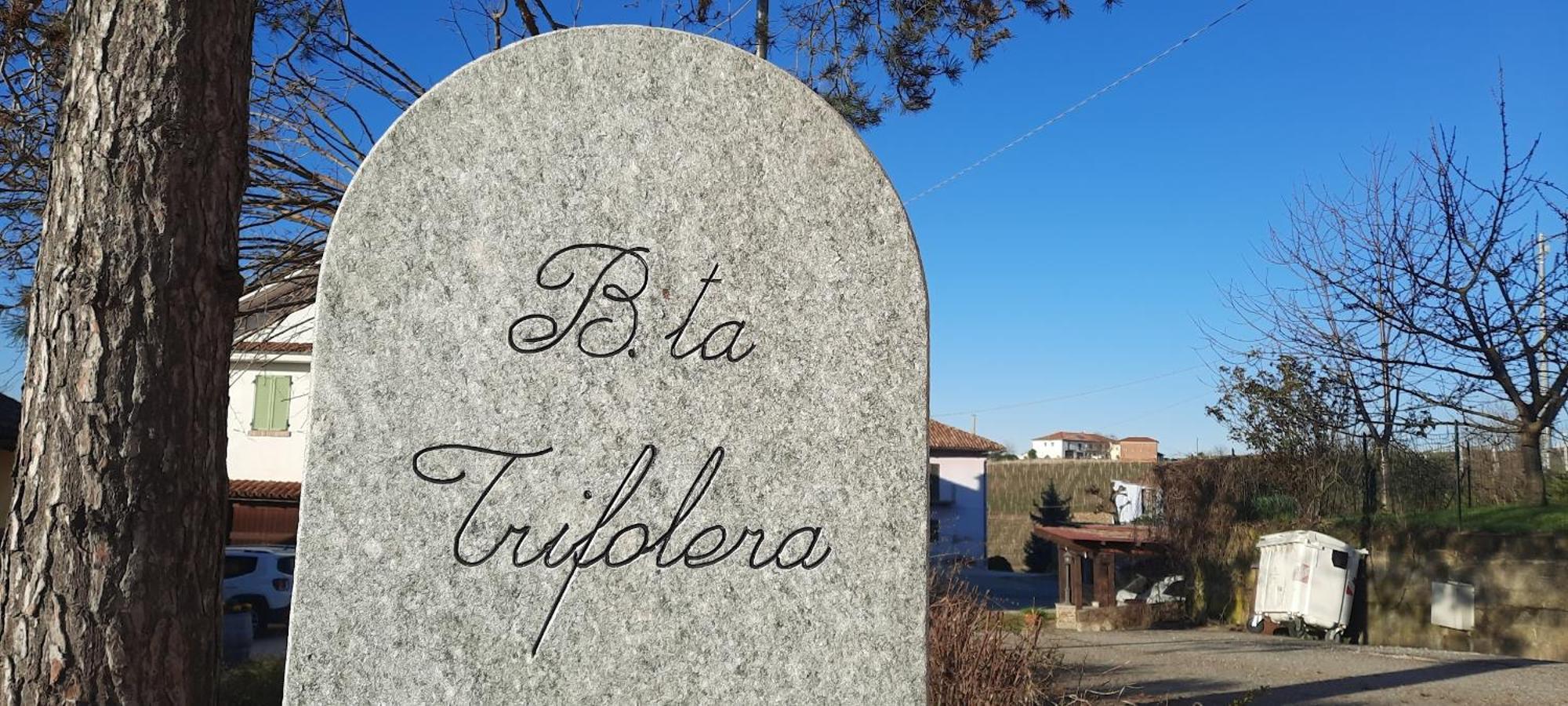Ca Trifolera Barbaresco: Romantic Wine Estate in Langhe Exterior photo