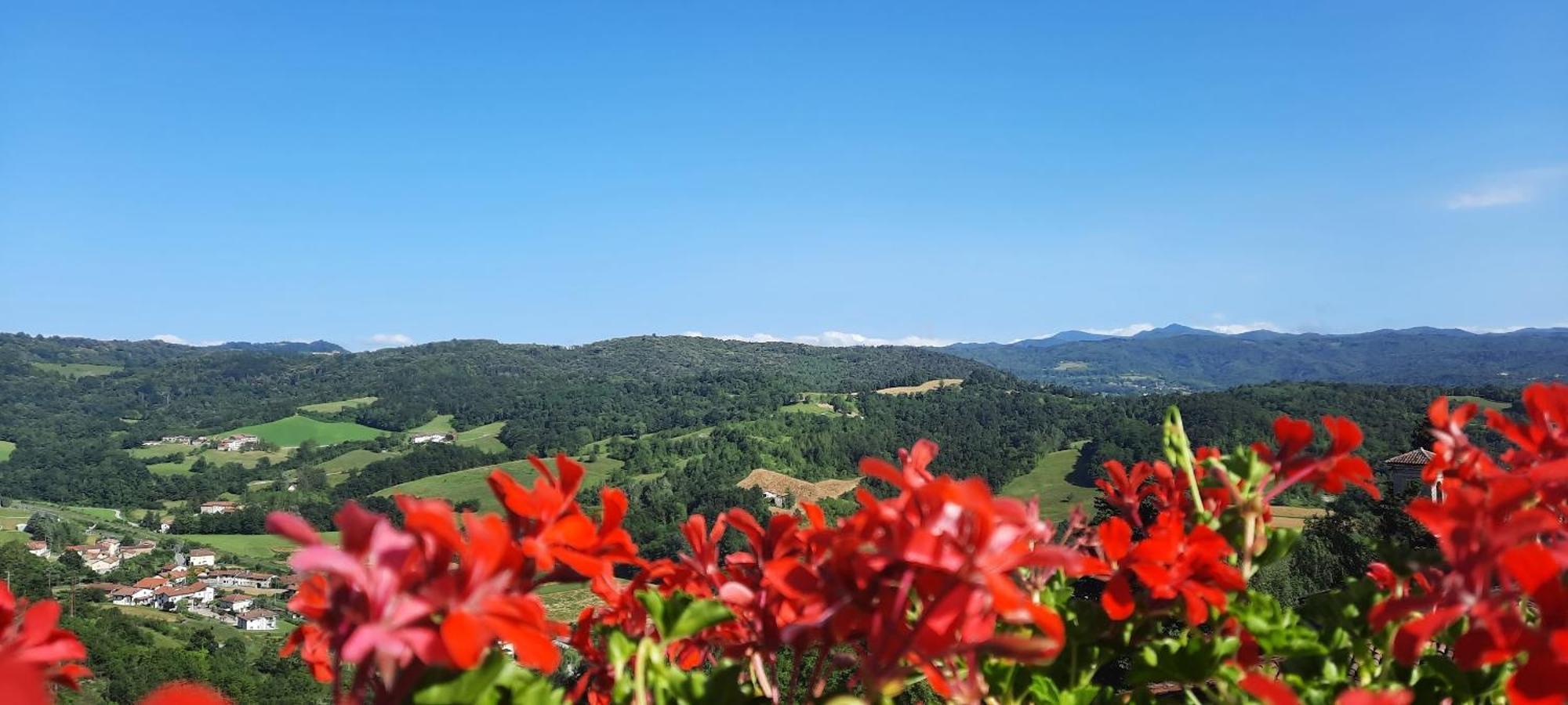 Ca Trifolera Barbaresco: Romantic Wine Estate in Langhe Exterior photo