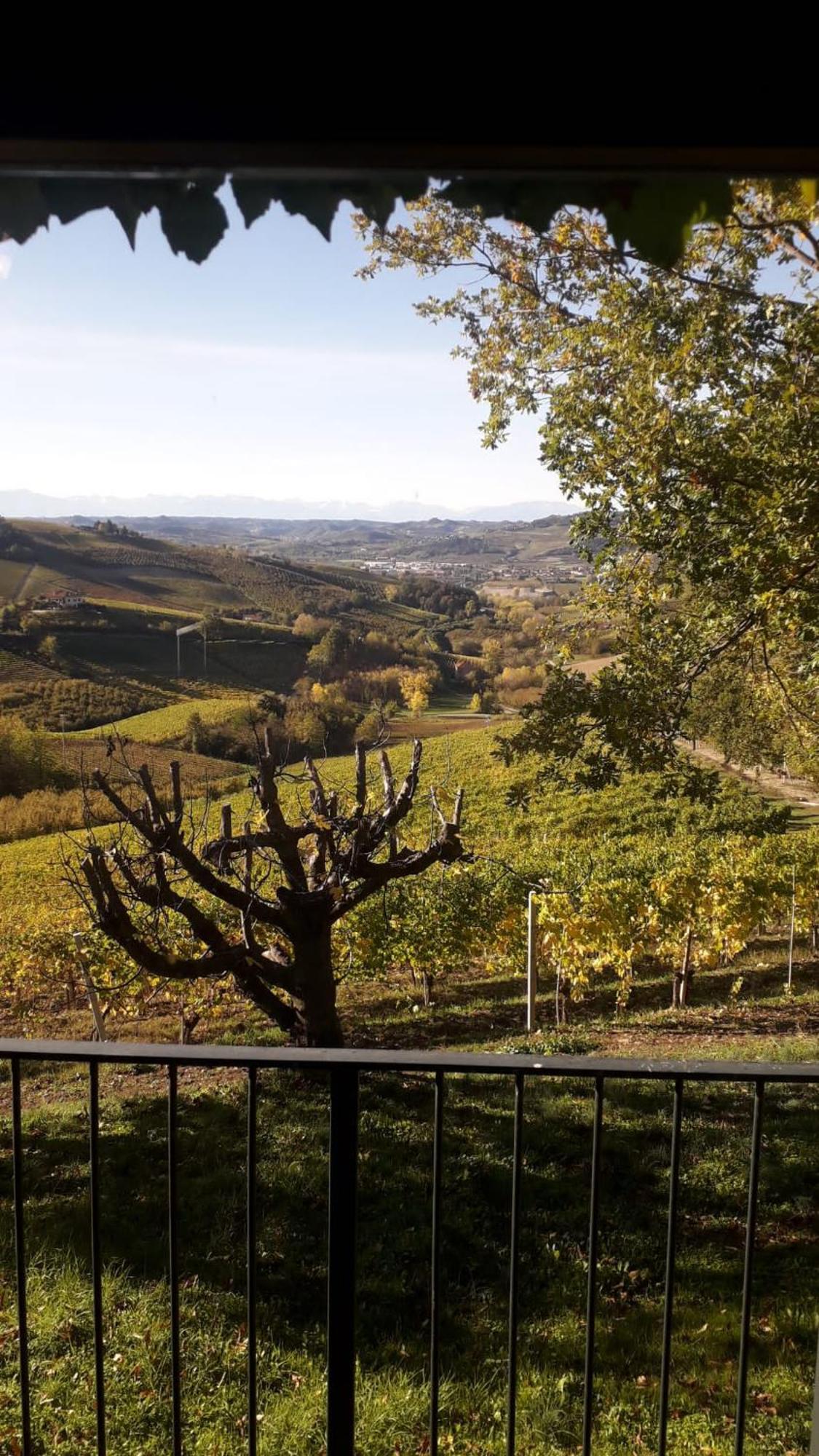 Ca Trifolera Barbaresco: Romantic Wine Estate in Langhe Exterior photo