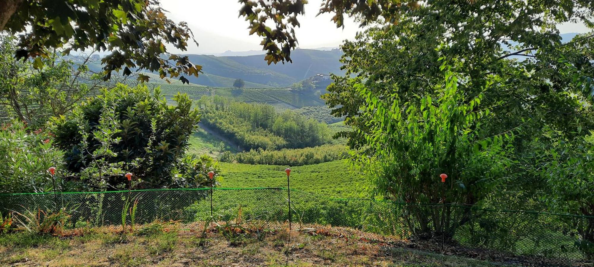 Ca Trifolera Barbaresco: Romantic Wine Estate in Langhe Exterior photo