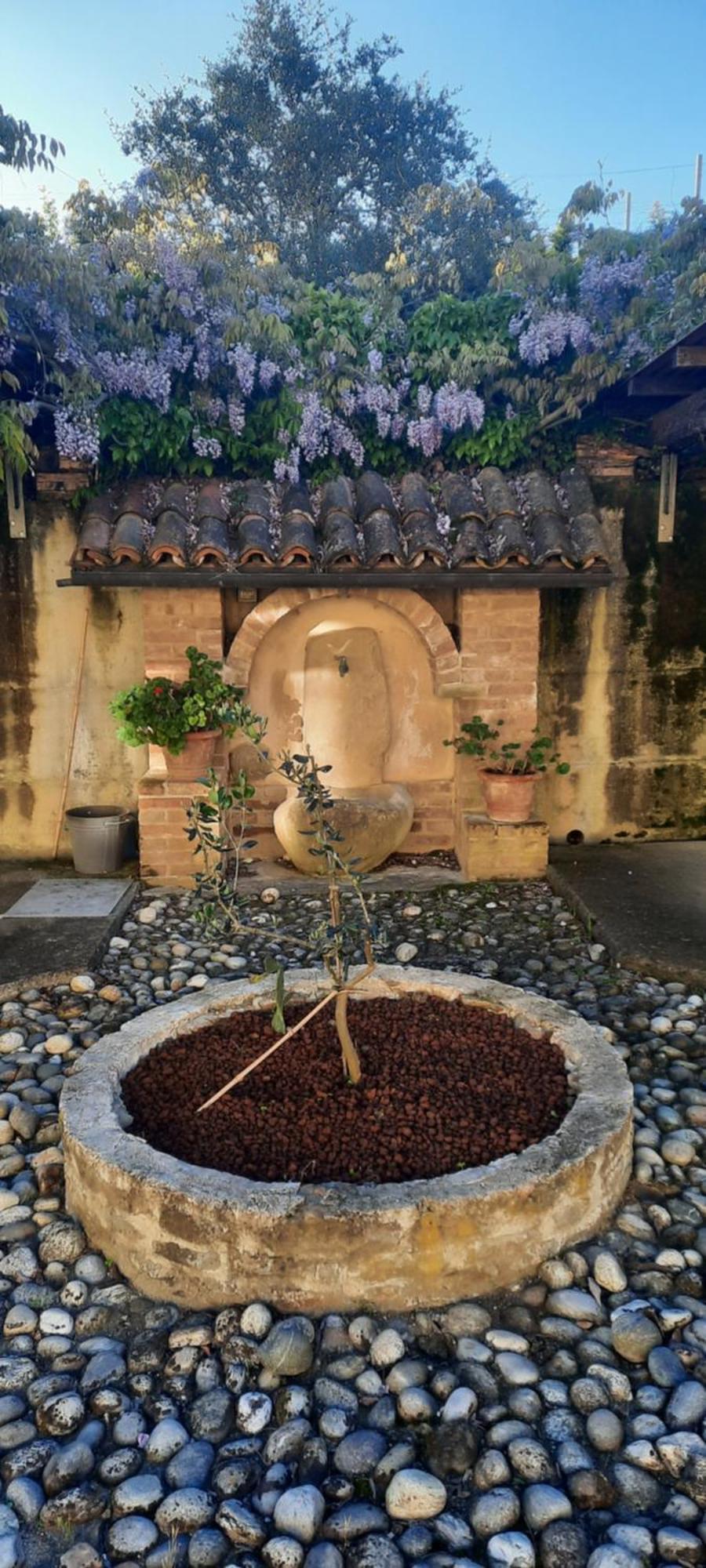 Ca Trifolera Barbaresco: Romantic Wine Estate in Langhe Exterior photo