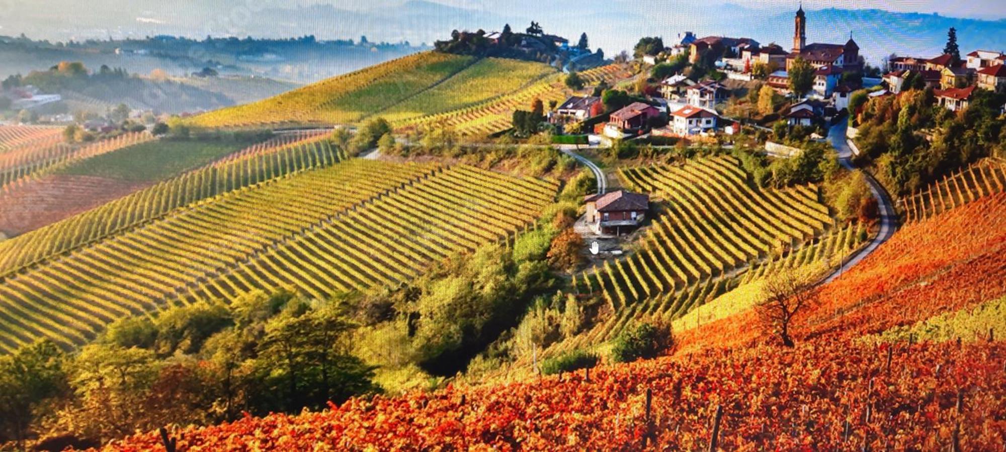 Ca Trifolera Barbaresco: Romantic Wine Estate in Langhe Exterior photo