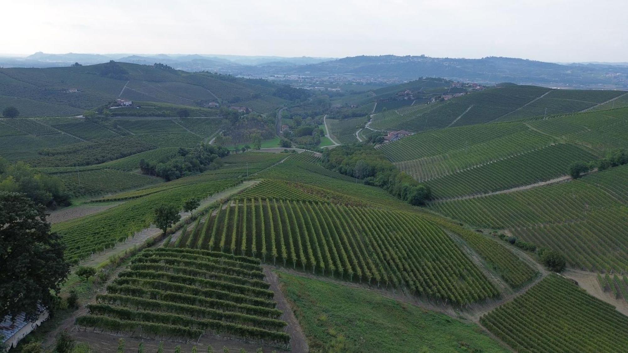 Ca Trifolera Barbaresco: Romantic Wine Estate in Langhe Exterior photo